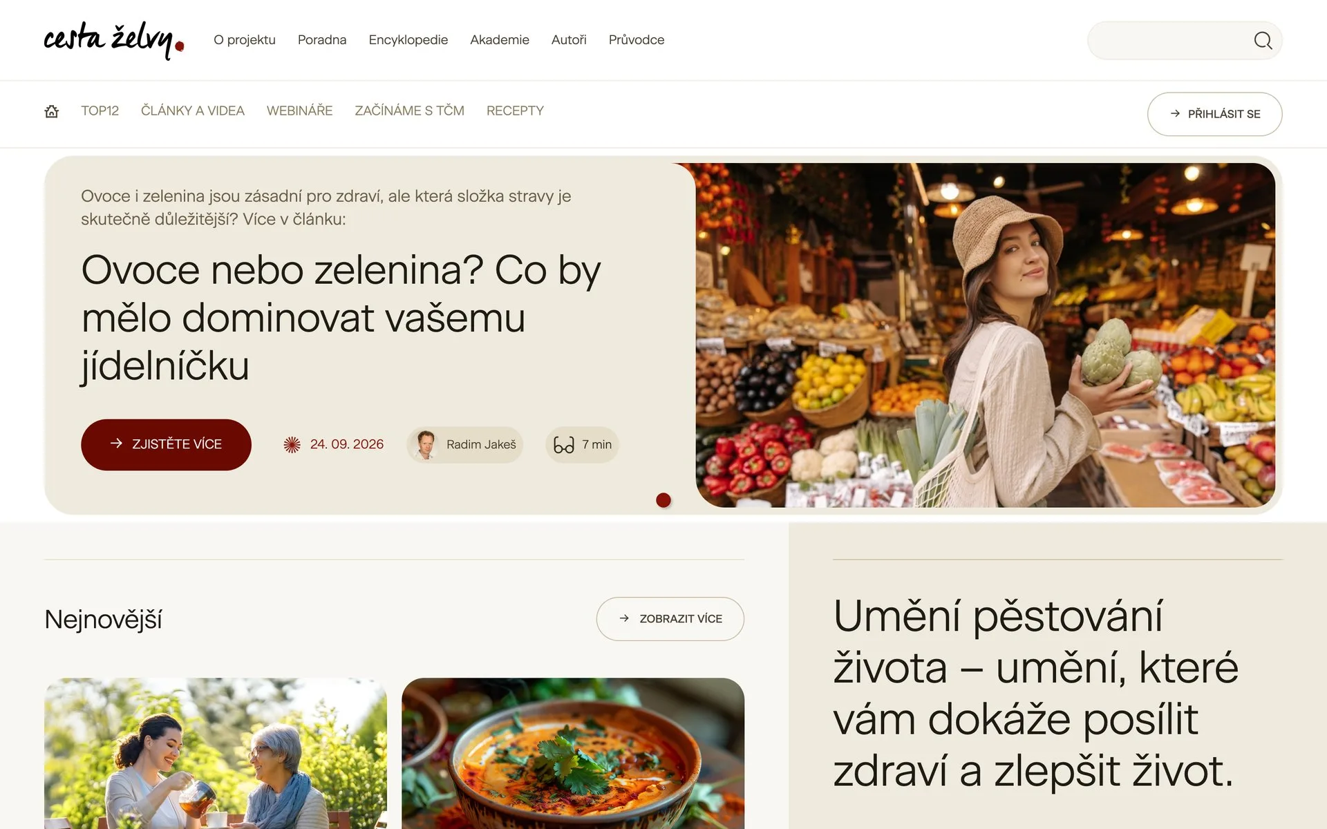 Cesta želvy